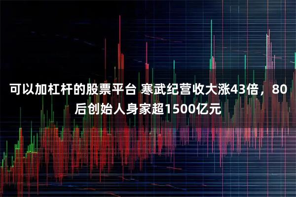 可以加杠杆的股票平台 寒武纪营收大涨43倍，80后创始人身家超1500亿元